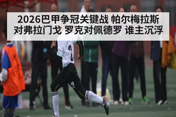 2026巴甲争冠关键战 帕尔梅拉斯对弗拉门戈 罗克对佩德罗 谁主沉浮